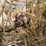 (1)-propane-tank---18-ft-image-9