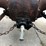 ford-2n-image-43