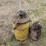 oil-barrels-image-6