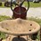 farmall-f-12-image-19