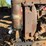 farmall-f-12-image-15