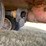 jay-lor-4650-image-30