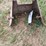 2-pto-shields-image-5