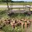 #1294-•-tracks-and-truck-rack-frame-image-2