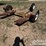 single-axle-tow-dolly-image-6