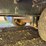 #3028-•-2020-bb-24k-tandem-axle-equipment-trailer-(has-wi-title)-(waukesha,-wi)-image-23