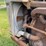 mccormick-deering-10-20-image-36