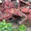farmall-a-image-47