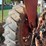 farmall-806-image-28