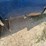2000-ford-2000-image-22