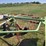 claas-350t-rotary-rake---field-ready-image-11