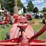 farmall-super-m-image-53