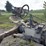 massey-ferguson-4-image-20