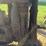 farmall-f-12-image-41