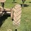 farmall-f-20-image-22