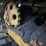 kumatsu-d20p,-2852-hours,-runs-&-drives,-blade-is-image-6