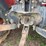kubota-l3901-image-10