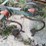 brillion-cultivator-image-7