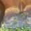 #1149-•-front-loader-bucket-attachment-image-14