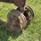 farmall-f-20-image-12