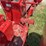 farmall-300-image-50