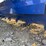 agrotk,-model:-ssscr72,-skid-steer-soil-image-6