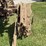 farmall-f-20-image-21
