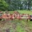 white-12-shank-chisel-plow-image-8
