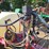 hardi-tr500-image-38