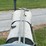 farmall-regular-image-69