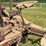 farmall-f-20-image-75