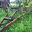 mckee-25'-danish-tine-field-cultivator-image-18