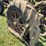 mccormick-deering-10-20-image-29