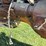 farmall-c-image-36