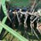 john-deere-8200-image-11