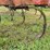white-12-shank-chisel-plow-image-16