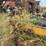 gooseneck-trailer-with-tank-image-24