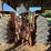 farmall-806-image-38