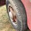 federal-grain-truck-image-38