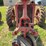 farmall-f-12-image-14