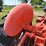 allis-chalmers-wd-tractor-image-17