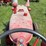 mccormick-w6-standard-image-40