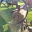 john-deere-60-image-25