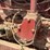 farmall-f-12-image-56