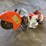 stihl-ts350-image-1