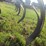 glencoe-soil-saver-image-16