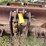#1292-•-gannon-box-scraper-attachment-image-14