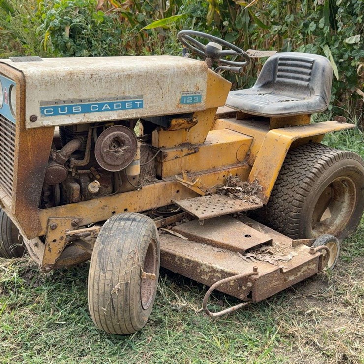 INTERNATIONAL CUB