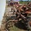 allis-chalmers-c-image-6