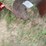 2-pto-shields-image-6